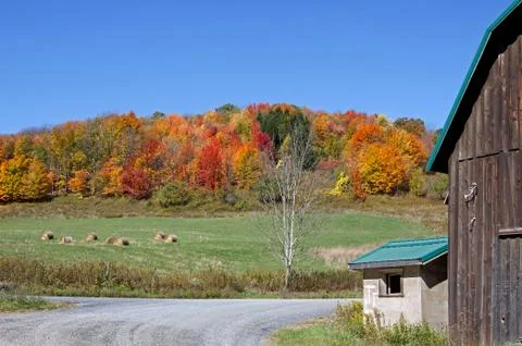 Autumn landscape Foto stock