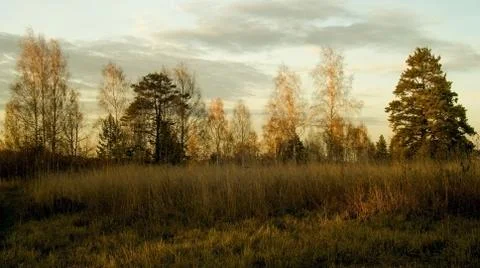 Autumn Landscape Stock Photos