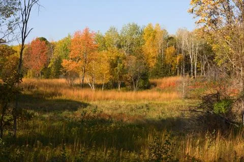 Autumn landscape Stock Photos