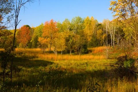 Autumn landscape Stock Photos