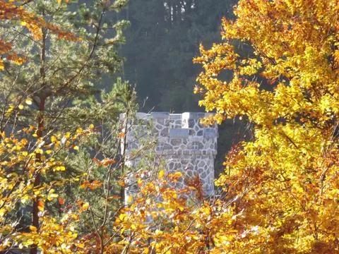 Autumn landscape Stock Photos