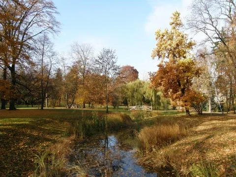 Autumn landscape Stock Photos