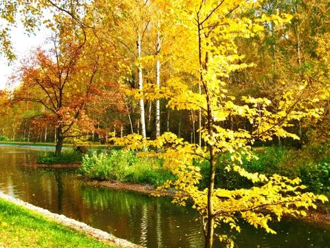Autumn landscape Stock Photos