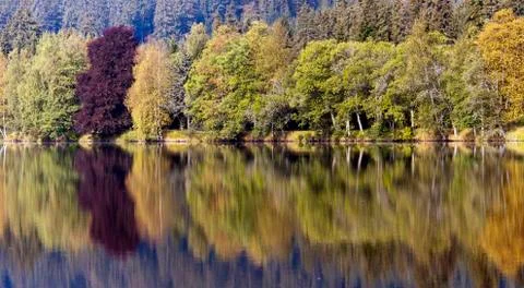 Autumn landscape Stock Photos