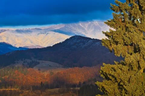Autumn landscape Stock Photos
