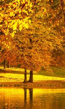 Autumn landscape Stock Photos