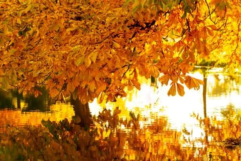 Autumn landscape Stock Photos