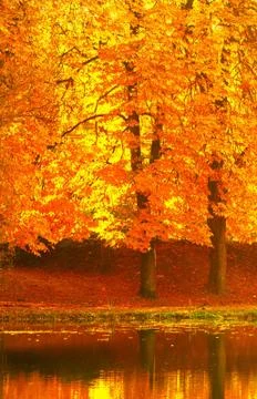 Autumn landscape Stock Photos