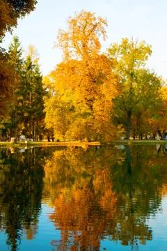 Autumn landscape Stock Photos