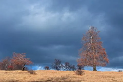 Autumn landscape Stock Photos