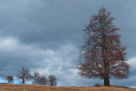 Autumn landscape Stock Photos