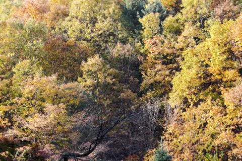 Autumn landscape Foto stock