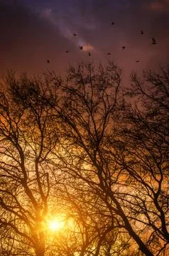 Autumn landscape Stock Photos