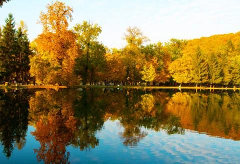 Autumn landscape Stock Photos