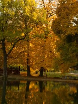 Autumn landscape Stock Photos