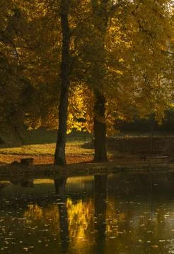 Autumn landscape Stock Photos
