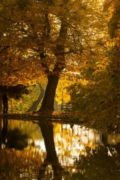 Autumn landscape Stock Photos