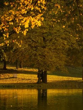 Autumn landscape Stock Photos