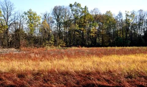 Autumn landscape Foto stock
