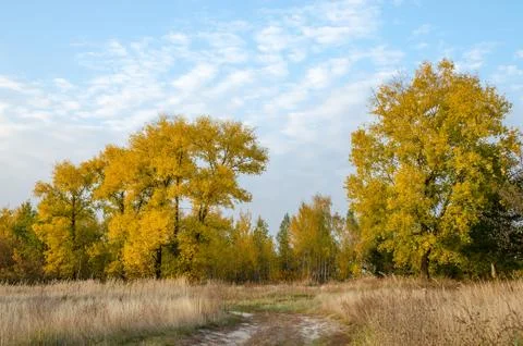 Autumn landscape Stock Photos