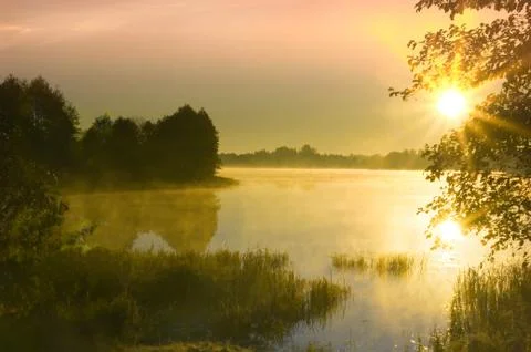Autumn landscape Stock Photos