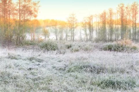 Autumn landscape Stock Photos