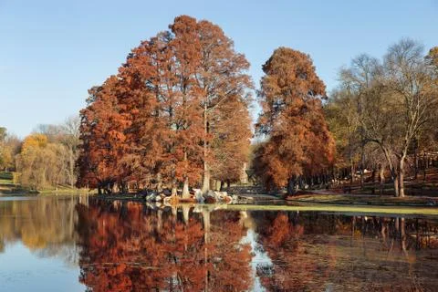 Autumn Landscape Stock Photos