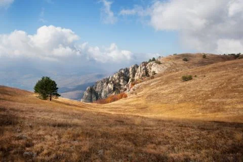Autumn landscape Stock Photos