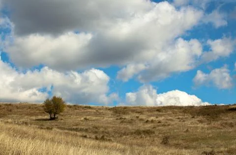 Autumn landscape Stock Photos