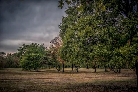 Autumn Landscape Stock Photos