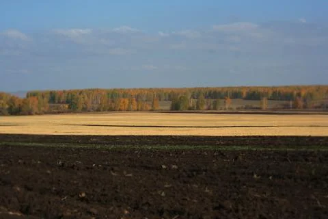 Autumn landscape Foto stock