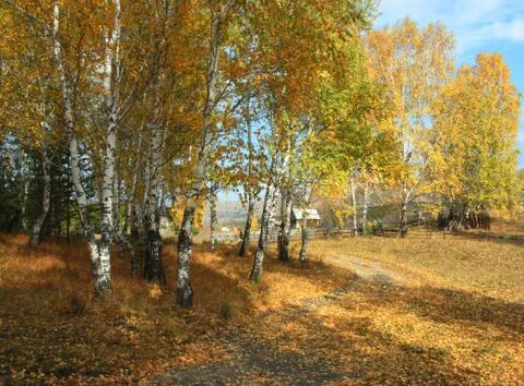 Autumn landscape Stock Photos