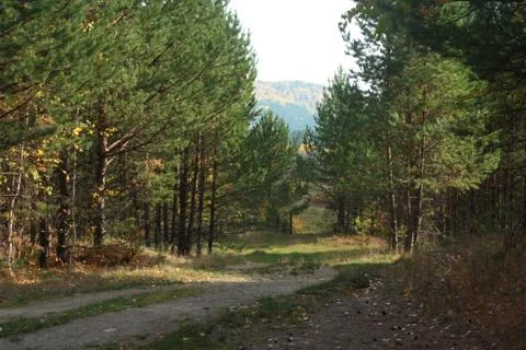 Autumn landscape Stock Photos