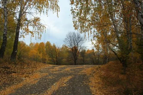 Autumn landscape Stock Photos