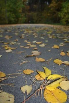 Autumn landscape Stock Photos