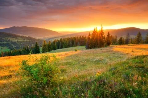 Autumn landscape Foto stock