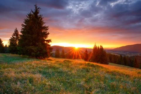 Autumn landscape Foto stock