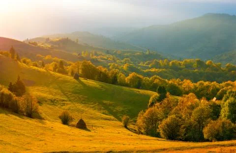 Autumn landscape Stock Photos