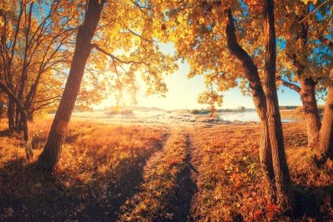 Autumn landscape Stock Photos