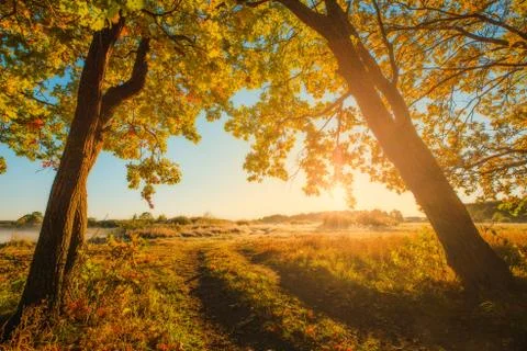 Autumn landscape Foto stock