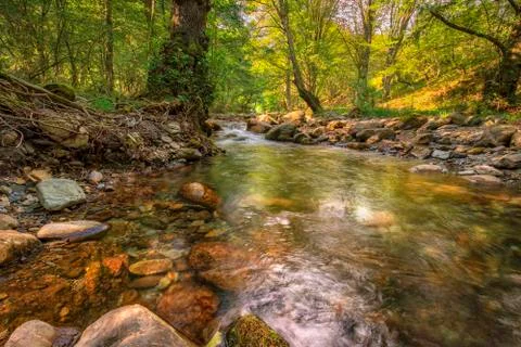 Autumn landscape Stock Photos