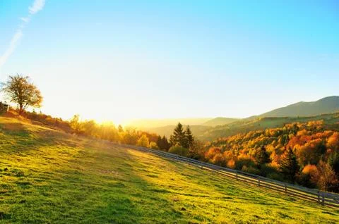Autumn landscape Foto stock