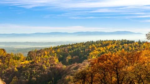 Autumn landscape Stock Photos