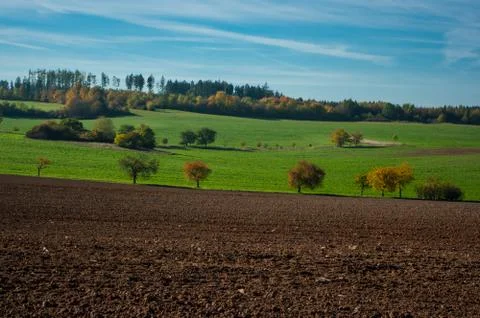 The autumn landscape. Stock Photos