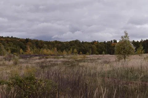 Autumn Landscape Foto stock