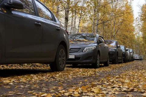Autumn landscape. Stock Photos