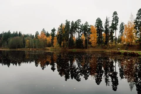 Autumn landscape Stock Photos