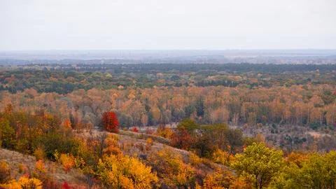 Autumn landscape. Stock Photos