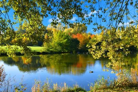Autumn landscape. Stock Photos