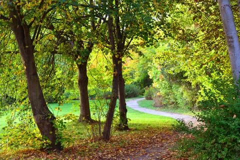 Autumn landscape. Stock Photos